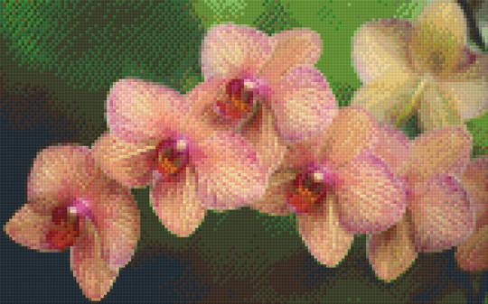 Orchid Spray Eight [8] Baseplate PixelHobby Mini-mosaic Art Kit